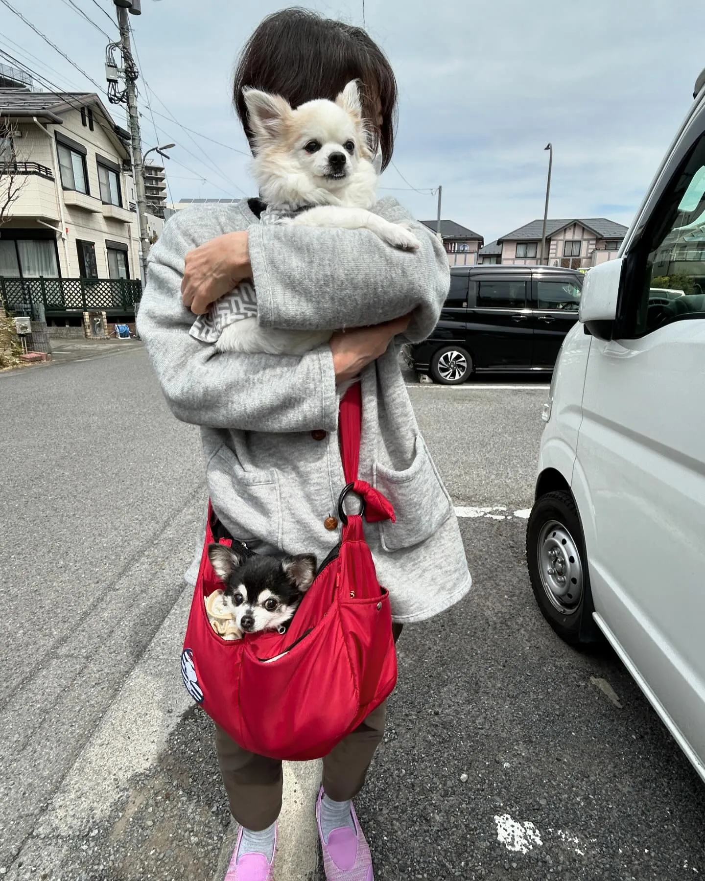 みなみ野動物病院です。