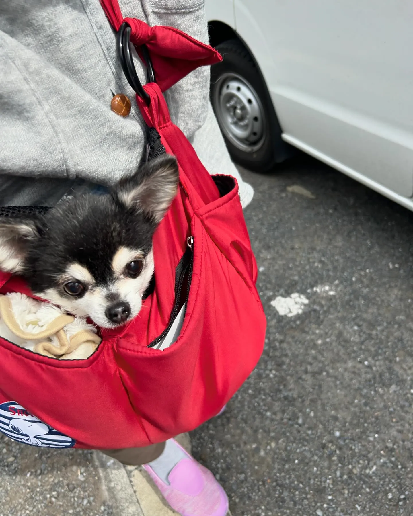 みなみ野動物病院です。