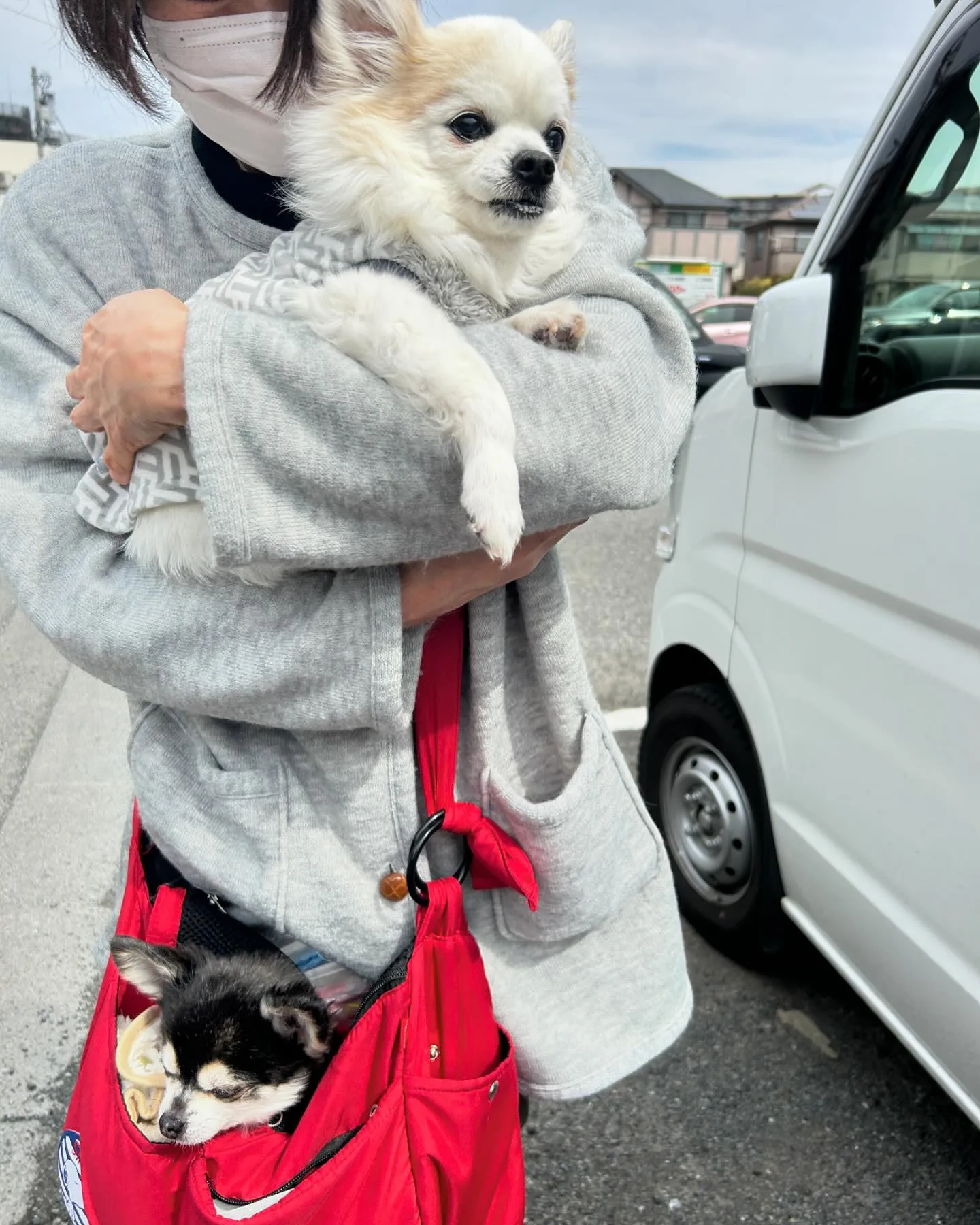 みなみ野動物病院です。