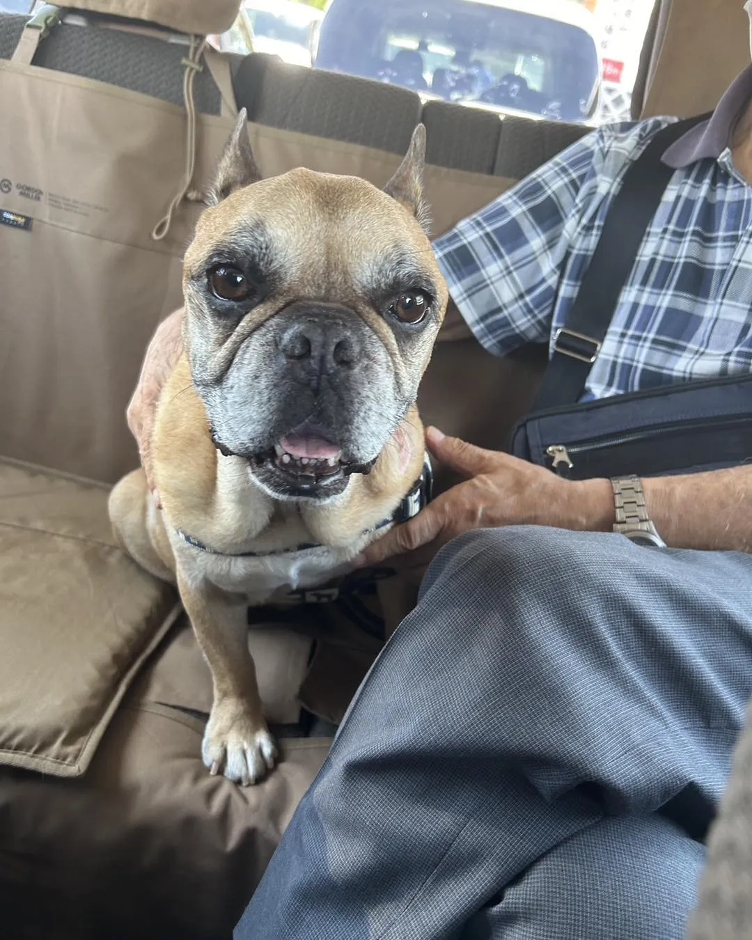 みなみ野動物病院の帰りの車内です。